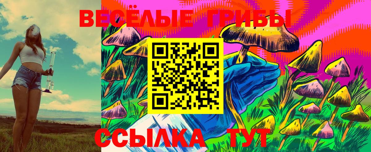 Ковров  Галлюциногенные грибы мицелий  Вход с VPN  Псилоцибиновые грибы Cubensis 