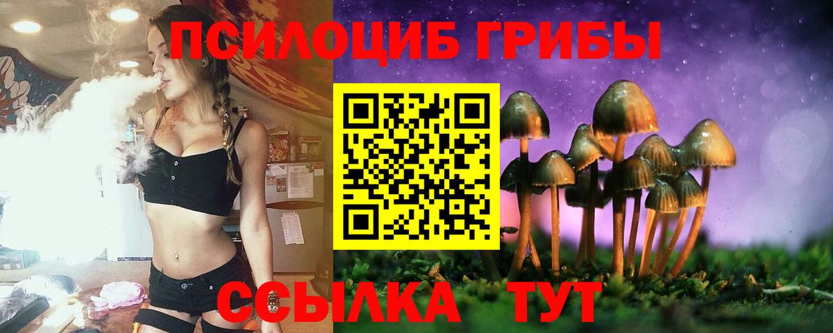 Псилоцибиновые грибы ЛСД Ковров